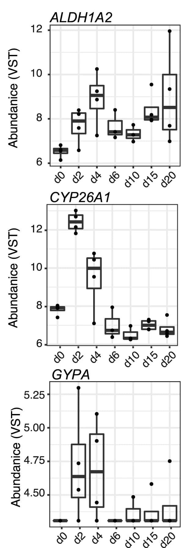 Open access visualization of Box Plot, Scatter Plot, Expression Levels, Variance-Stabilizing Counts