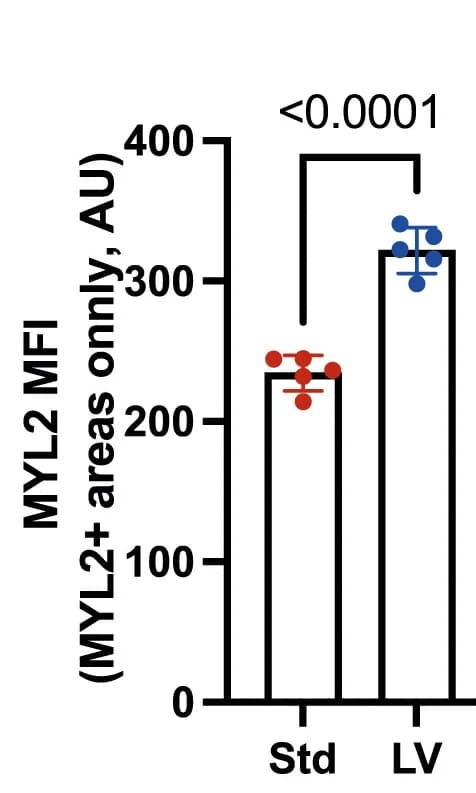 Open access visualization of Bar Plot, Error Bars, Fluorescence intensity