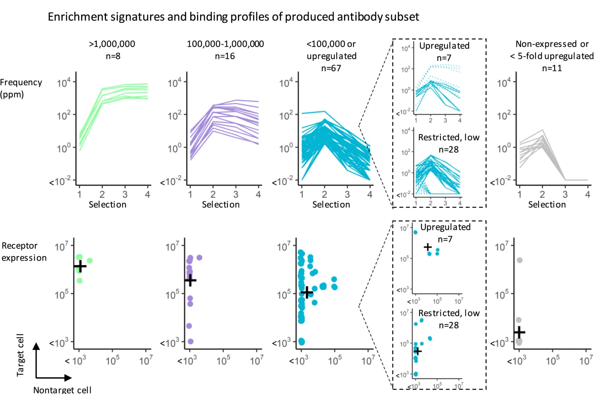 Open access visualization of Line Plot, Scatter Plot, Antibodies, Receptors, Target Cells