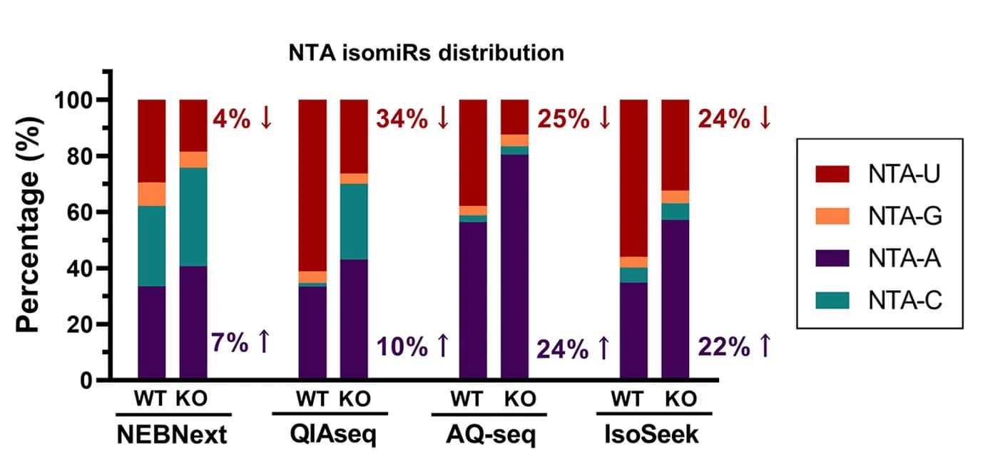 Open access visualization of Stacked Bar Plot, NTA isomiRs, Protocols, HEK293T Cells, Distribution