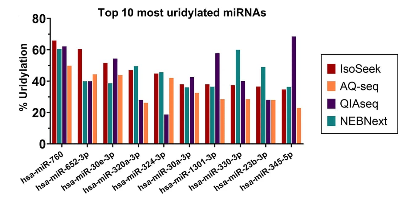 Open access visualization of Bar Plot, Clustered, Uridylated miRNAs, HEK293T Cells, IsoSeek