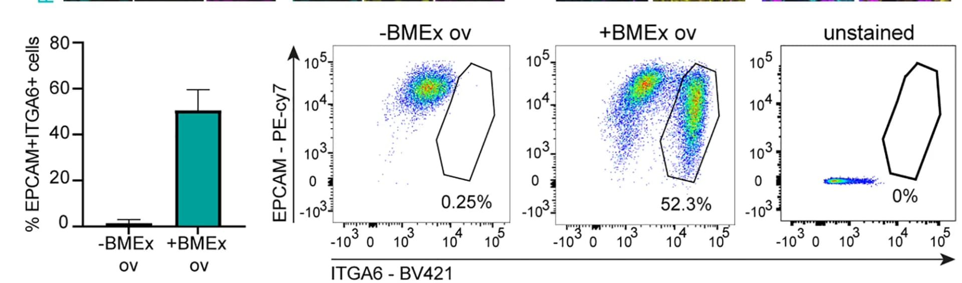 Open access visualization of Scatter Plot, Bar Plot, Error Bars, Bar Graph, EPCAM+ITGA6+ Cells