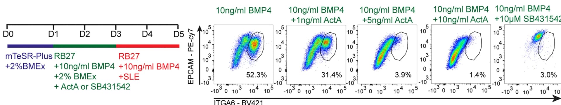 Open access visualization of Scatter Plot, Workflow, Experimental Scheme, FACS Plots, EPCAM+ITGA6+ Cells