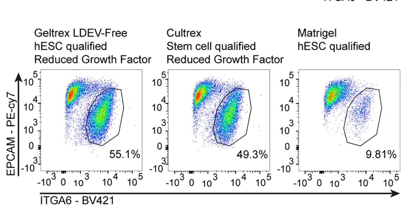 Open access visualization of Scatter Plot, FACS Plots, EPCAM+ITGA6+ Cells, Geltrex, Cultrex
