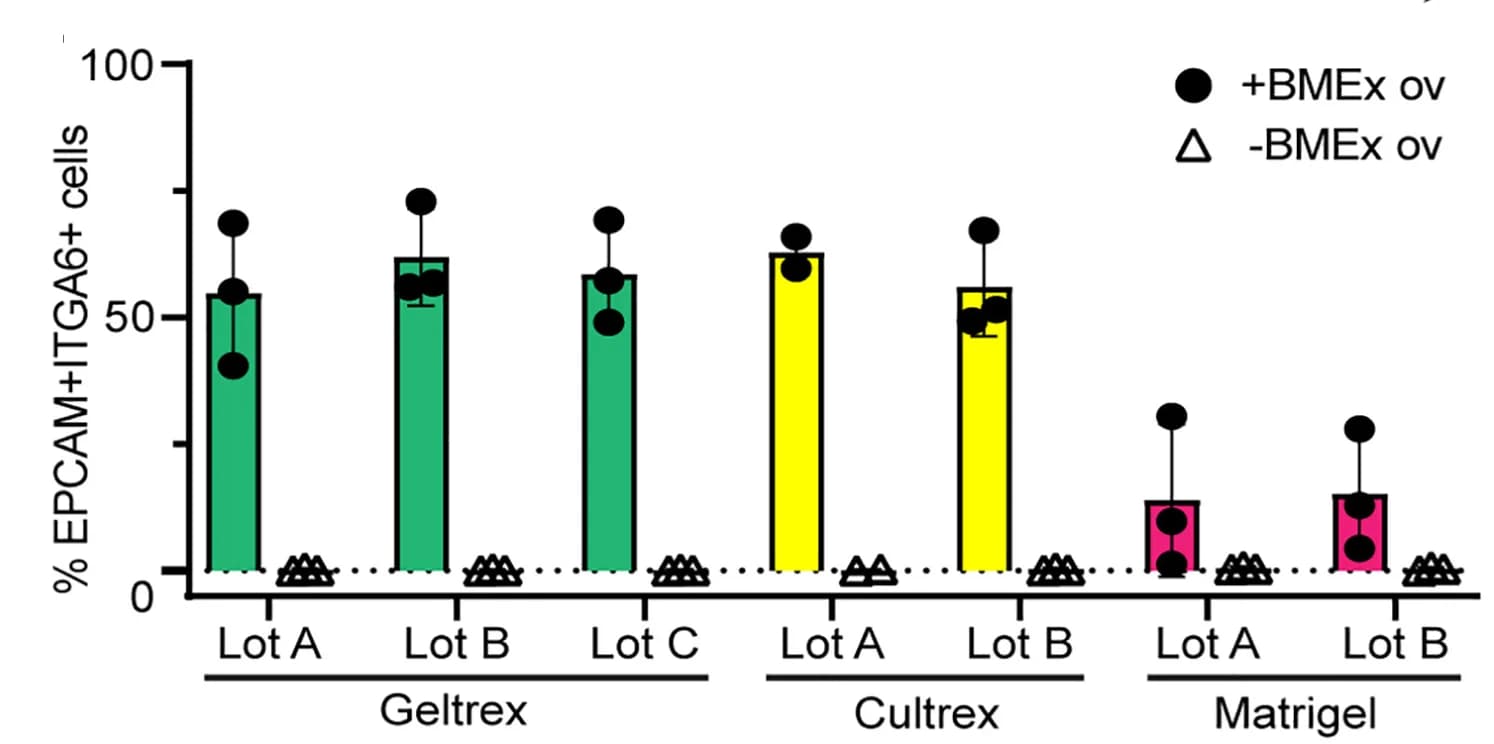 Open access visualization of Bar Plot, Error Bars, Scatter Plot, Bar Graph, EPCAM+ITGA6+ Cells