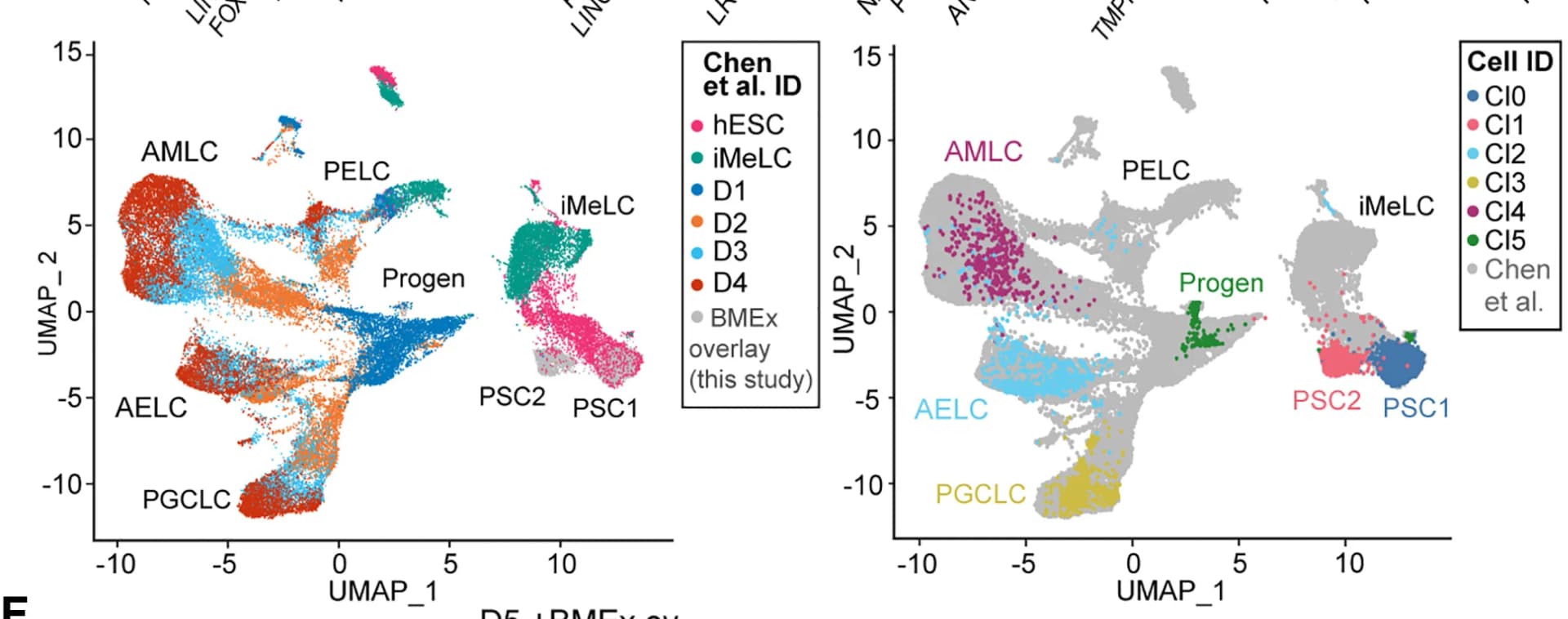 Open access visualization of Scatter Plot, UMAP, Single-Cell Transcriptomics, EB Differentiation, BMEx Overlay