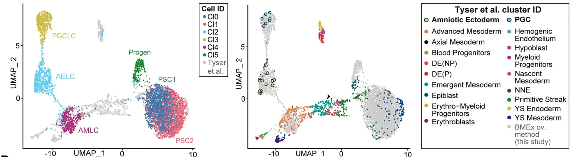 Open access visualization of UMAP, Single-cell transcriptomics, Human Embryo, BMEx Overlay