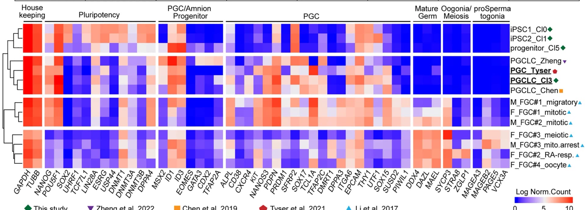 Open access visualization of Heatmap, Clustered, Hierarchical Clustering, Gene Expression, BMEx Overlay