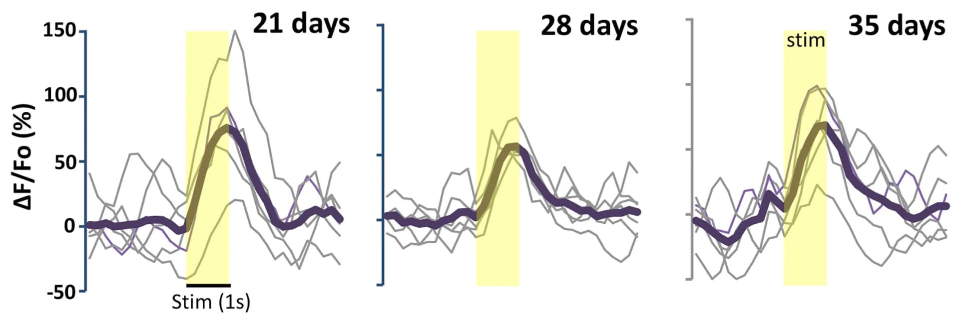Open access visualization of Line Plot, Calcium Imaging, Vibrotactile Stimulation, Hindlimb, Neuronal Activity