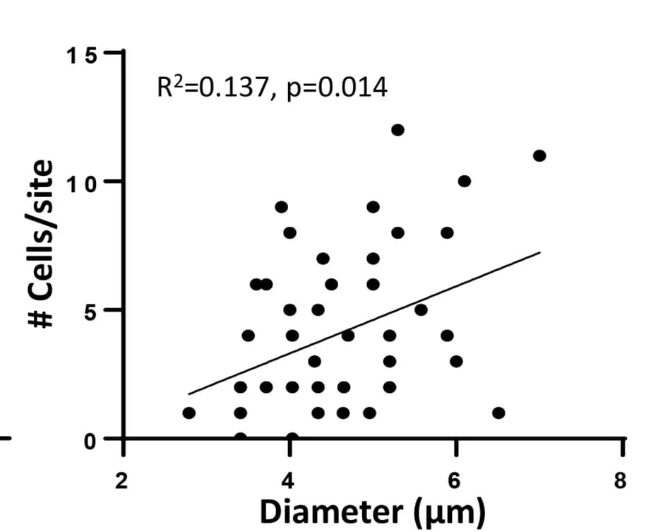 Open access visualization of Scatter Plot, Regression Plot, Capillary rupture, Labeled cells, Linear regression