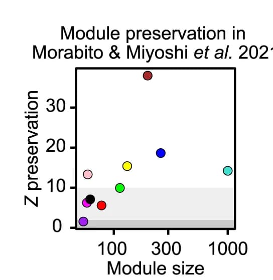 Open access visualization of Scatter Plot, Module preservation analysis, Oligodendrocytes, Modules, Human PFC dataset