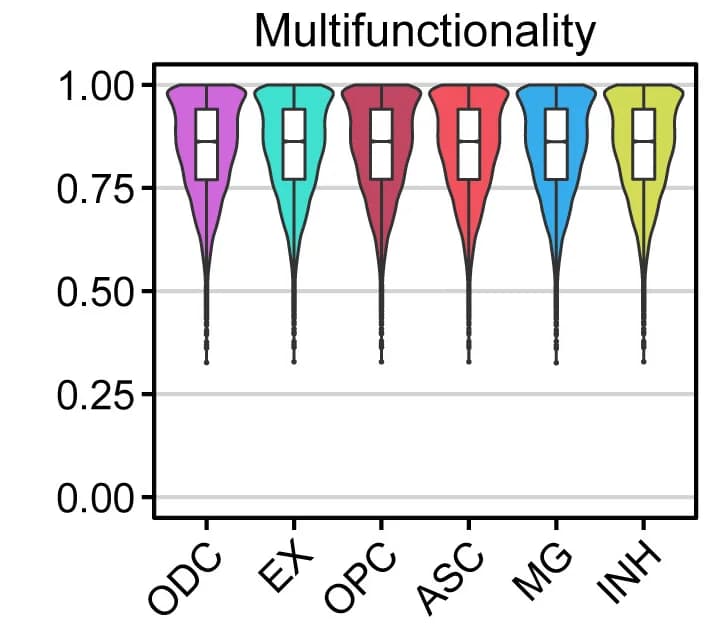 Open access visualization of Violin Plot, Box Plot, Violin Plots, Multifunctionality AUC scores, Cell-type-specific Co-expression Networks