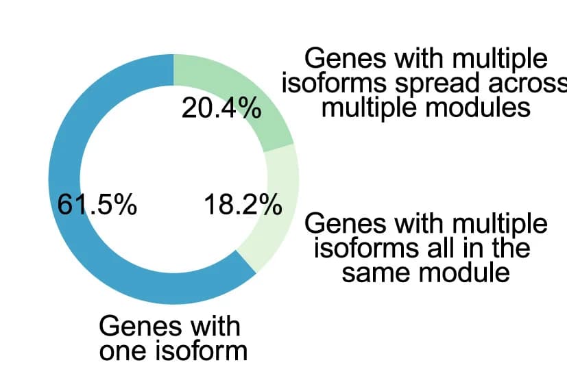 Open access visualization of Donut Chart, Genes, Isoforms, Co-expression Module