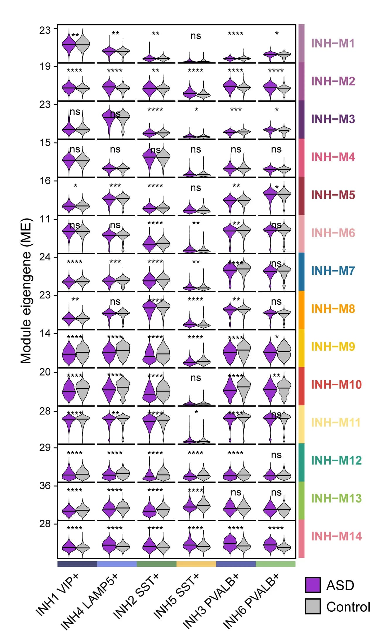 Open access visualization of Violin Plot, Violin plots, Wilcoxon test, ASD, Control samples