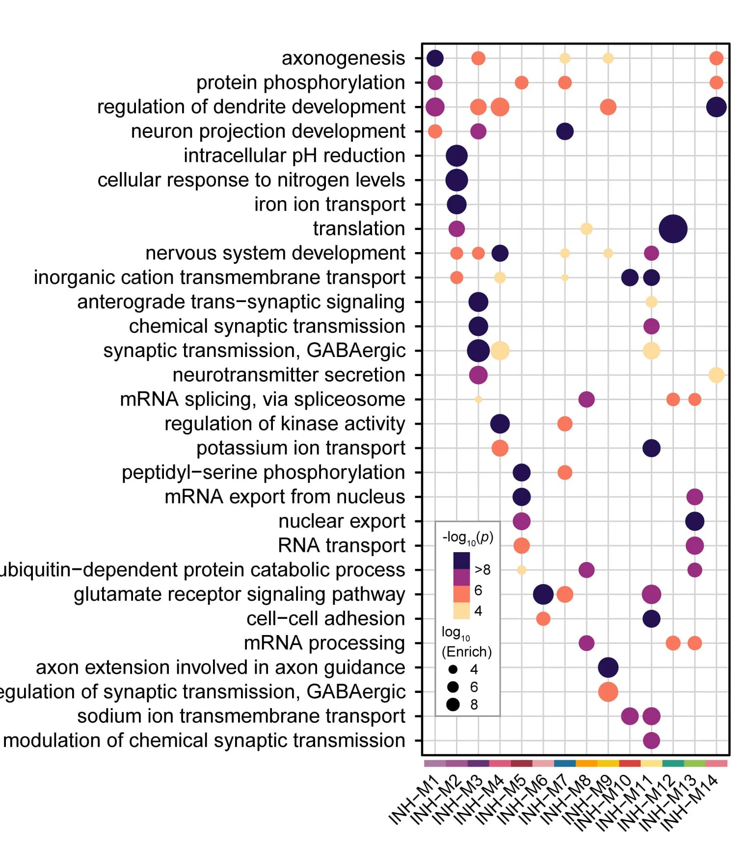 Open access visualization of Bubble Plot, GO enrichment, Co-expression module