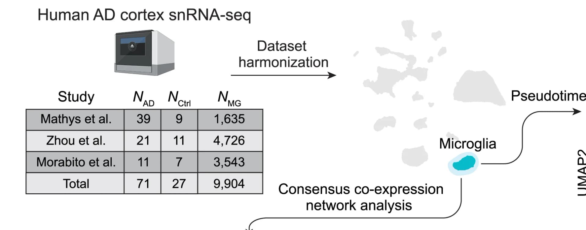 Open access visualization of Workflow, Table Image, UMAP, Samples, Microglia Nuclei