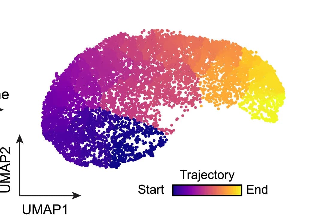 Open access visualization of Scatter Plot, UMAP, UMAP Plot, Microglia, Monocle Pseudotime