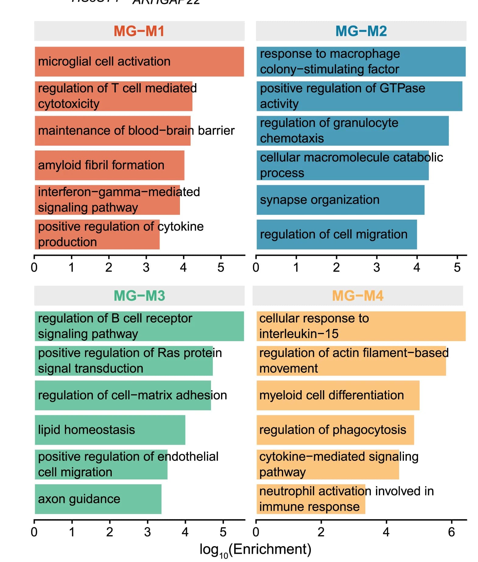 Open access visualization of Bar Plot, Gene Ontology Terms, Co-expression Modules, Bar Plots, Enrichment