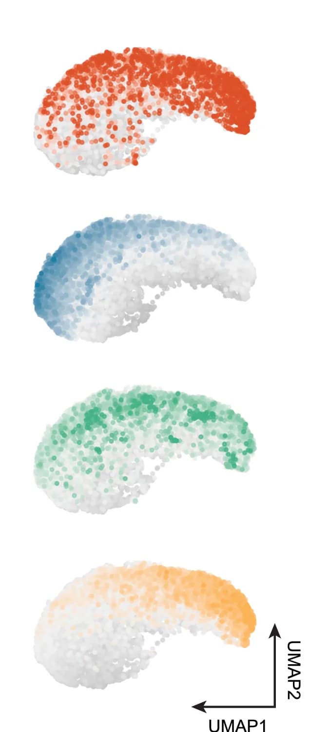 Open access visualization of Scatter Plot, UMAP, Microglia, Module Eigengenes