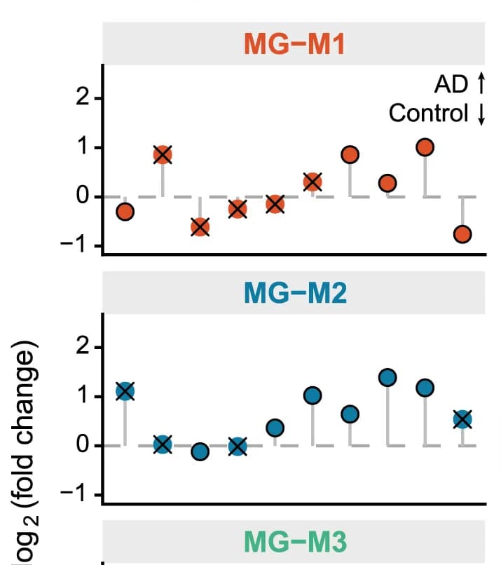 Open access visualization of Scatter Plot, Differential Module Eigengenes, Pseudotime, AD, Control Samples