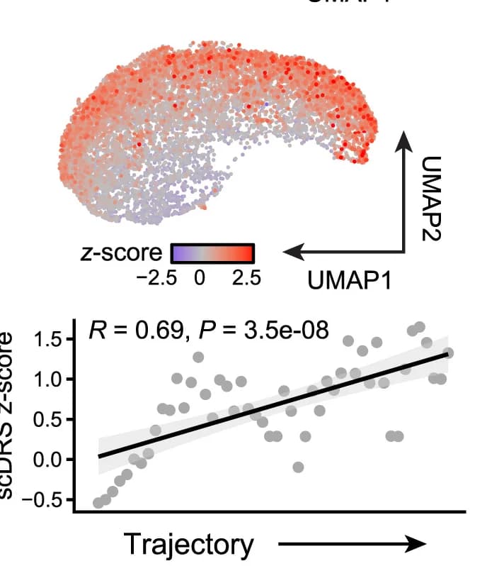 Open access visualization of UMAP, Scatter Plot, Regression Plot, Microglia, AD Single-Cell Disease Relevance Score