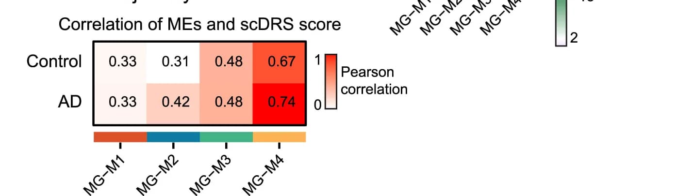 Open access visualization of Heatmap, Pearson Correlations, Module Eigengenes, scDRS Zscores, AD