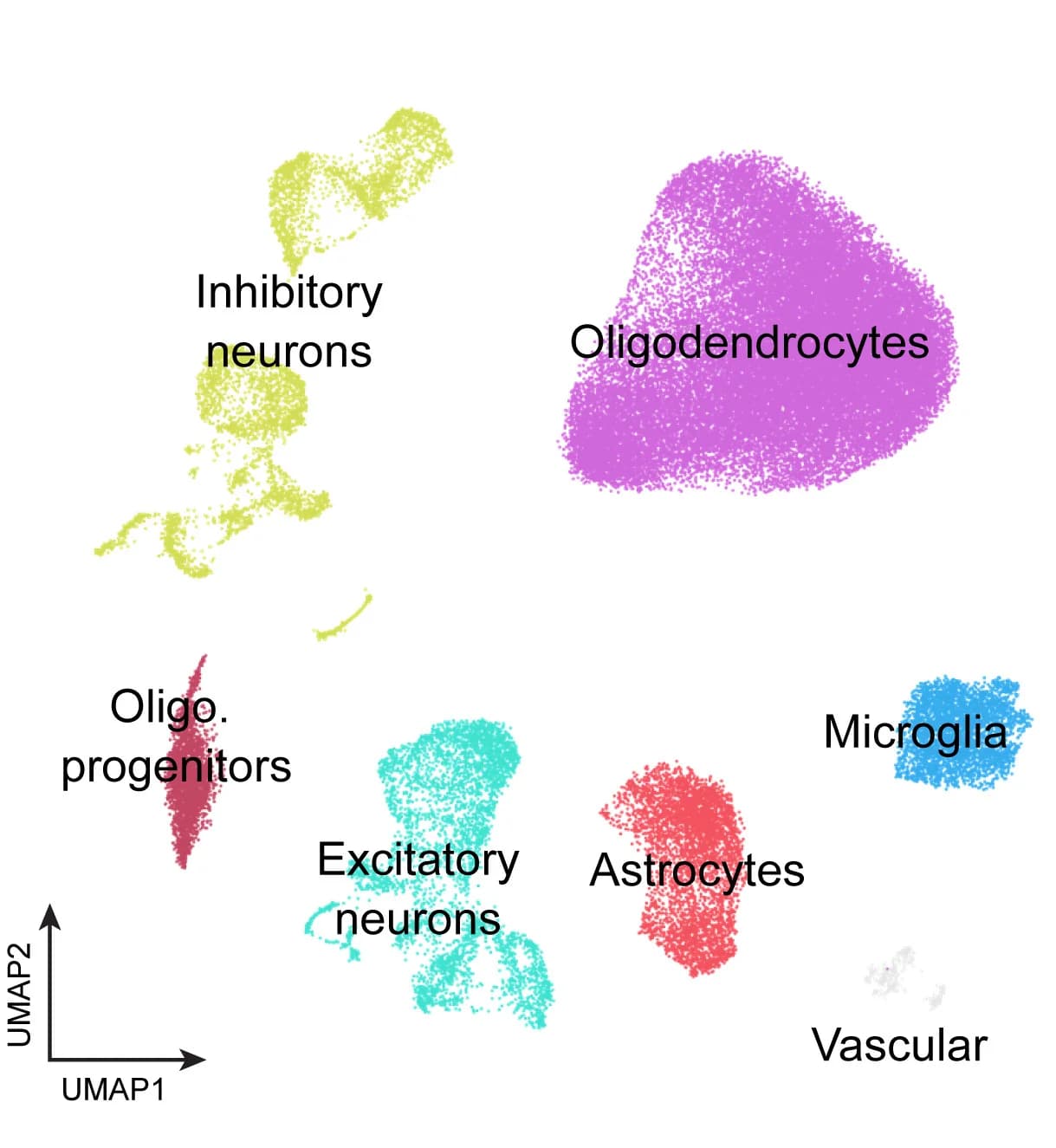 Open access visualization of UMAP, UMAP Plot, snRNA-seq, PFC, AD