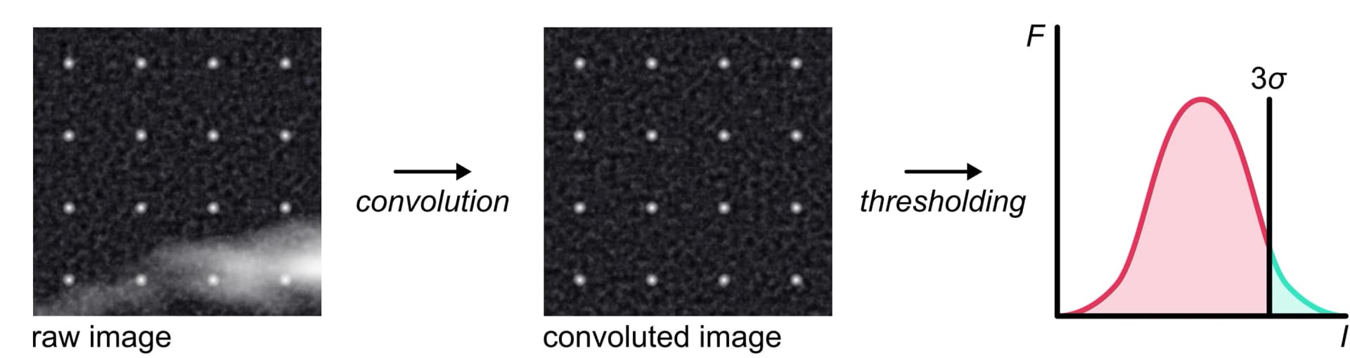 Open access visualization of Workflow, Microscopy, Density Plot, Diffraction-limited Image, Convolution