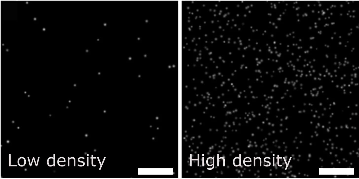 Open access visualization of Microscopy, SiMPull microscopy, Aggregates, Particle density, Diffraction-limited microscopy