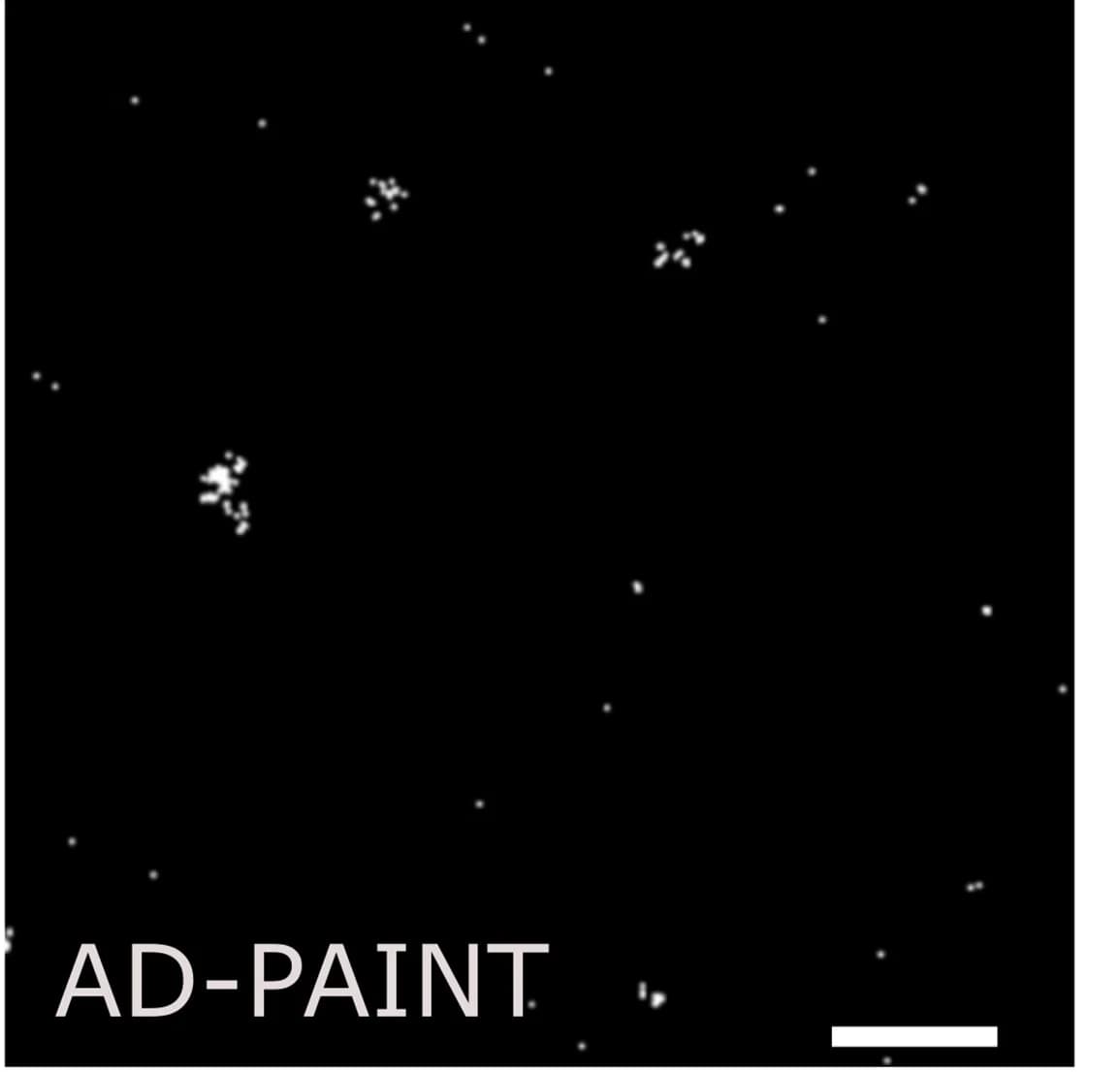 Open access visualization of Microscopy, Ab Aggregates, Super-resolution Microscopy