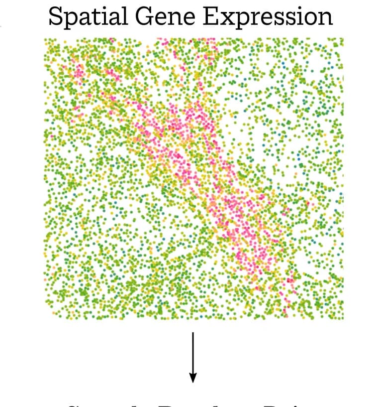 Open access visualization of Scatter Plot, Maxspin algorithm, Spatial information, Classifier