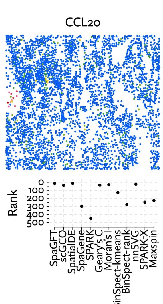 Open access visualization of Scatter Plot, Line Plot, CosMx, Spatial Analysis Methods, Method Comparison