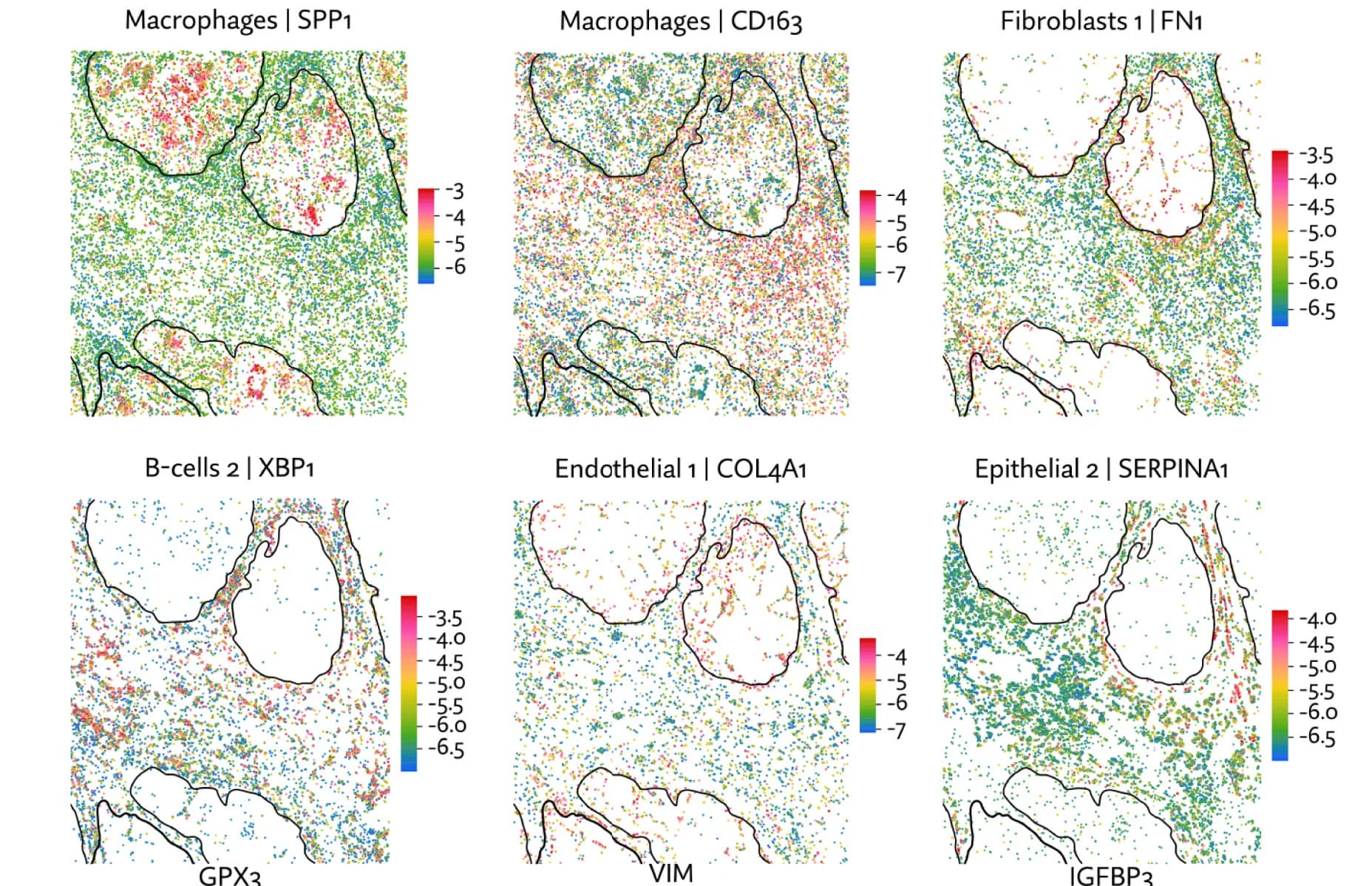 Open access visualization of Scatter Plot, Gene Expression, Non-Tumor Cells, Tumor Regions