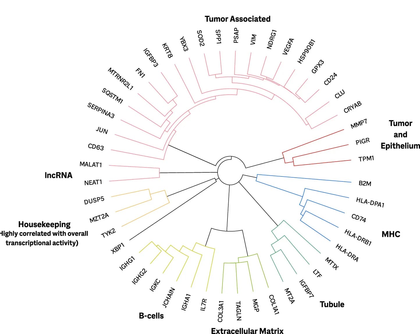 Open access visualization of Network, Pathway, Hierarchical Clustering, Genes, Spatial Information