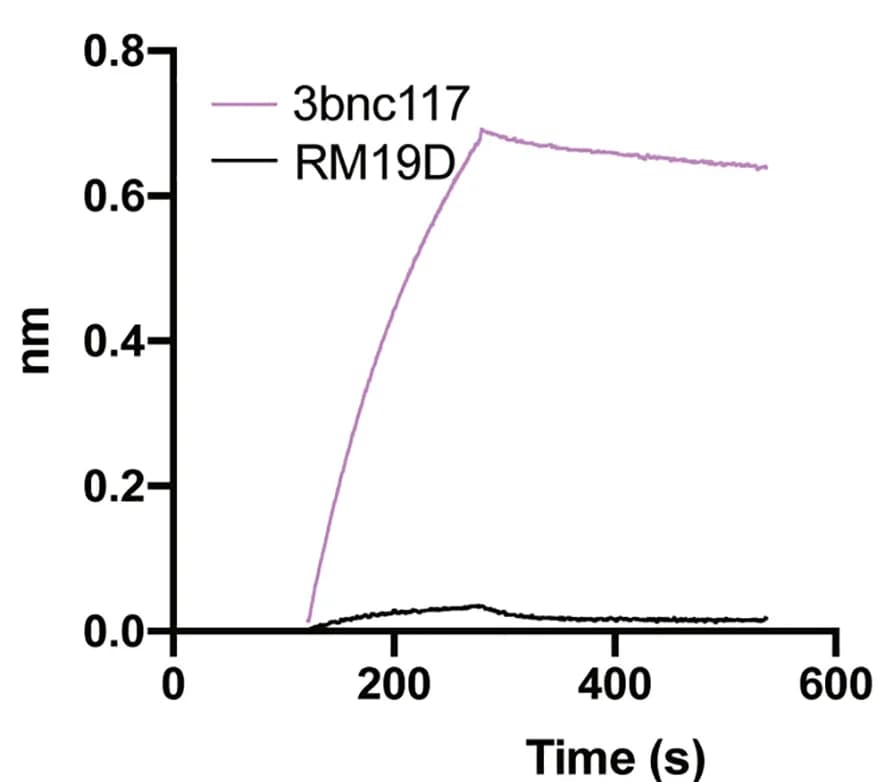 Open access visualization of Line Plot, BLI, Monoclonal Antibodies, Affinity, 3BNC117 Fab