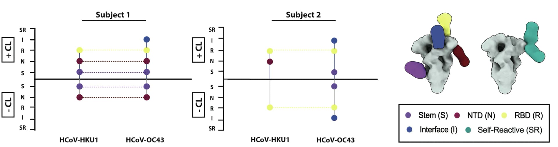 Open access visualization of Scatter Plot, Illustration, Chemical Structure, EMPEM, HCoV strains