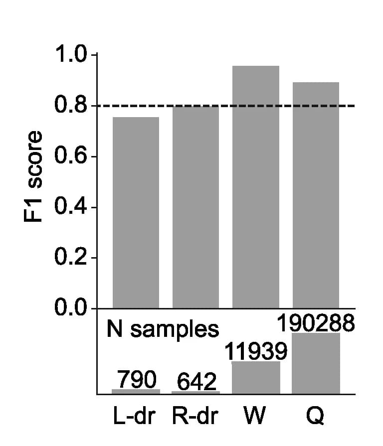 Open access visualization of Bar Plot, Smart-Kage, Behavioral labeling accuracy, F1 score, Drum exploration