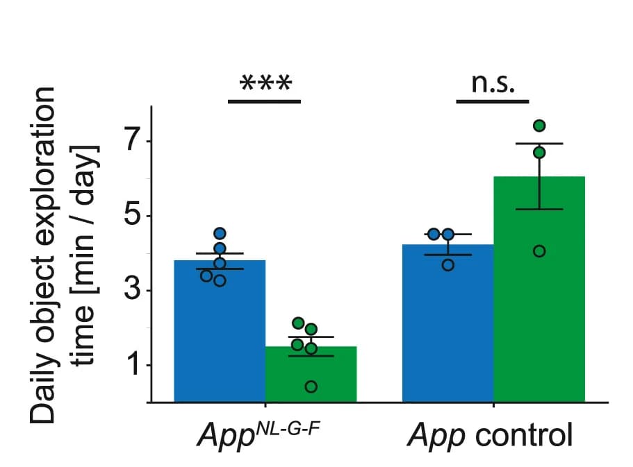 Open access visualization of Bar Plot, Clustered, Error Bars, Object Exploration Time, AppNL-G-F Mouse