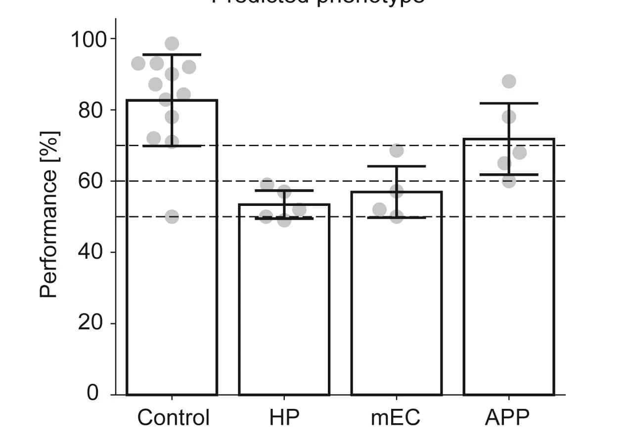 Open access visualization of Bar Plot, Error Bars, Scatter Plot, Animal Clustering, T-maze Task