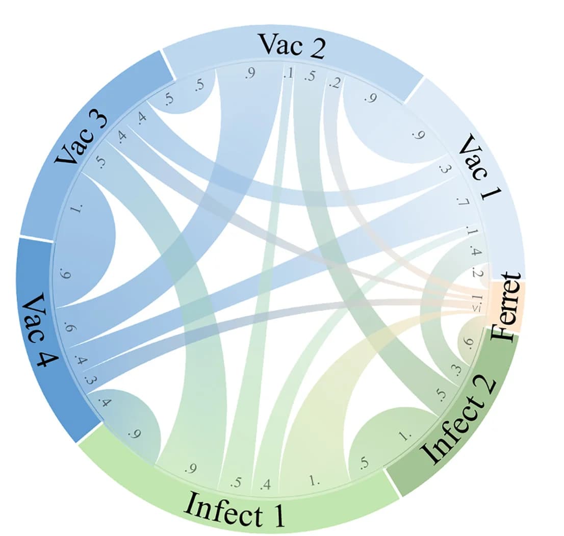 Open access visualization of Chord, Chord Diagram, Datasets, Transferability