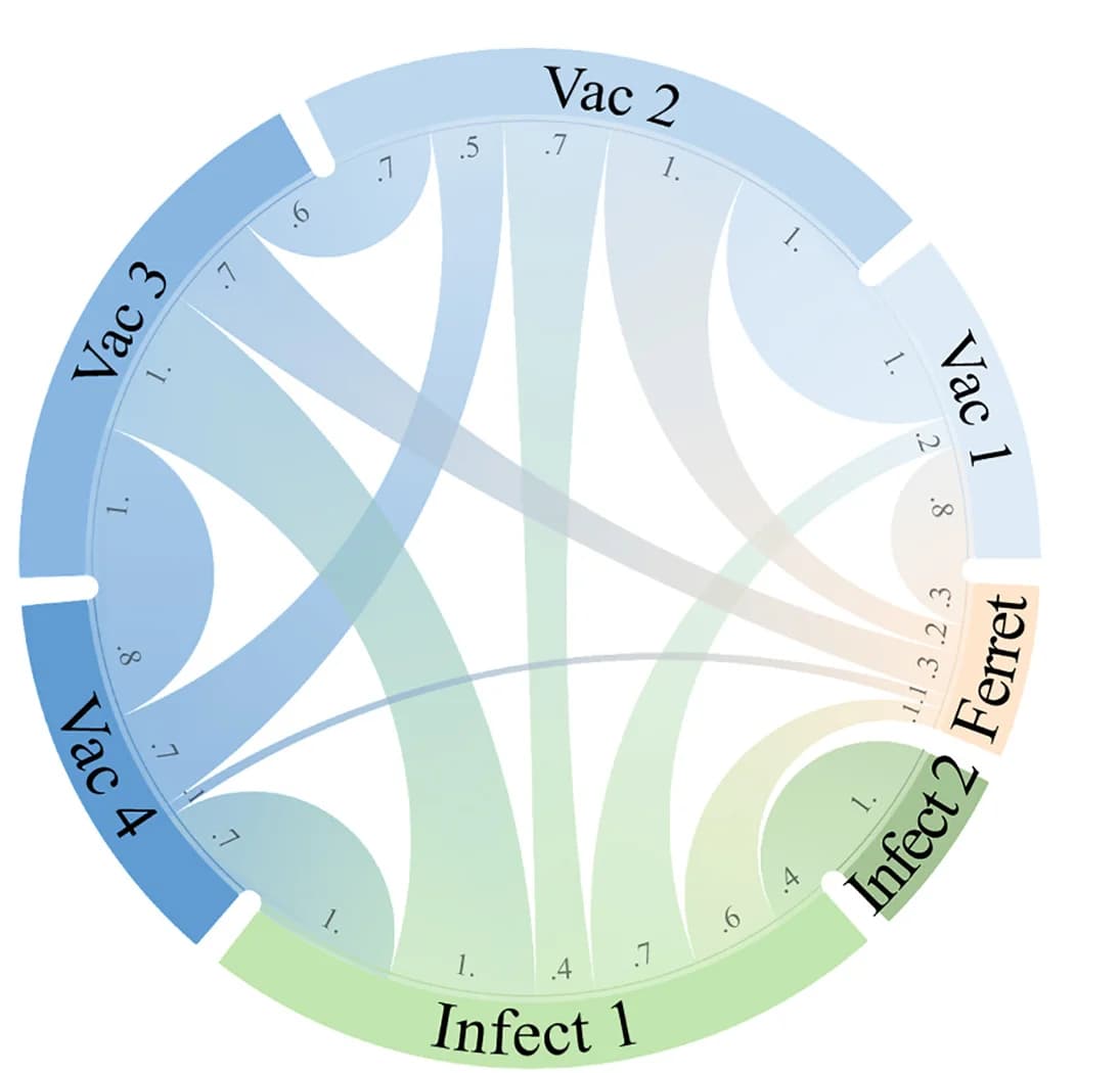 Open access visualization of Chord, Chord diagram, Transferability, Datasets, Viruses