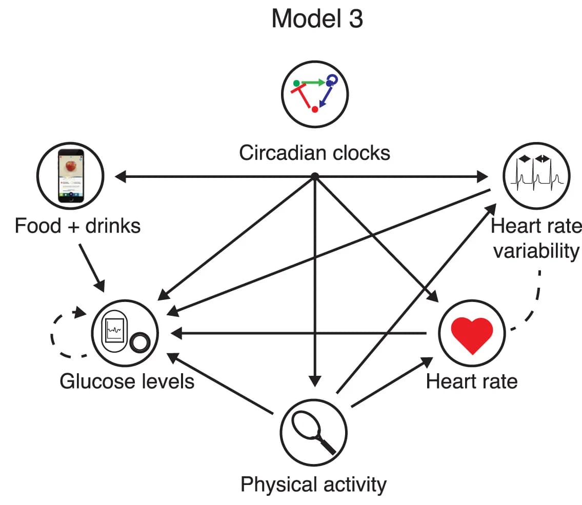 Open access visualization of Workflow, Flowchart, Illustration, Full Model, Interaction