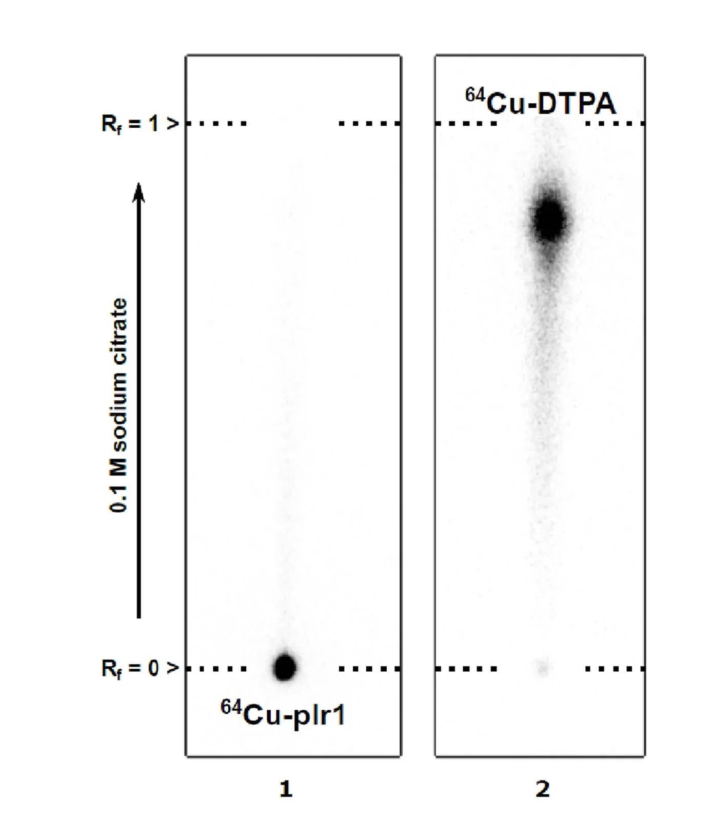 Open access visualization of Gel, Radiographic Images, Silica TLC Plates, Copper-loaded plr1, DTPA