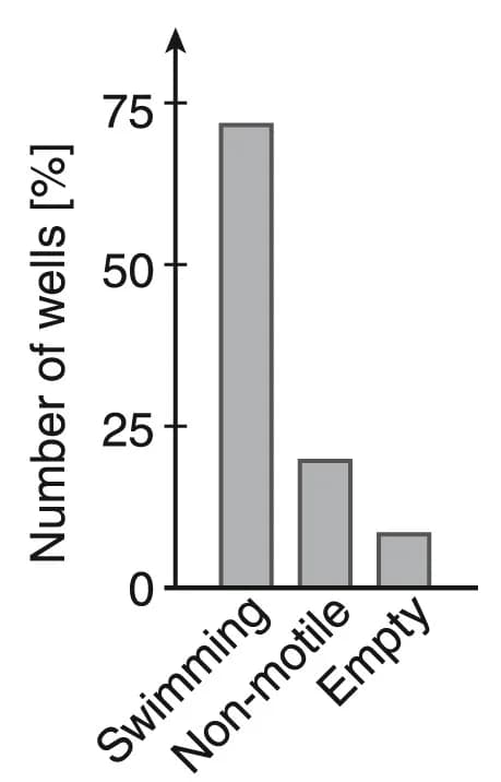 Open access visualization of Bar Plot, Swimming Cells, Non-Motile Cells, Wells