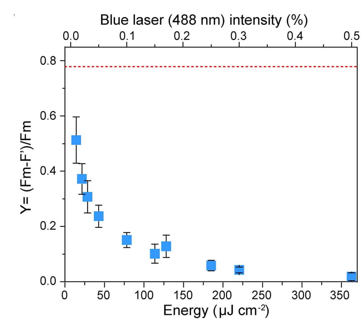 Open access visualization of Scatter Plot, Error Bars, Photosystem II, Quantum Yield, Fluorescence Imaging