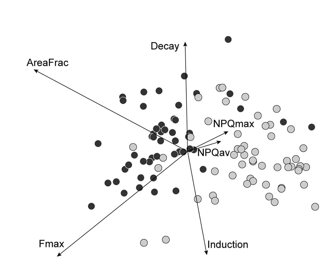 Open access visualization of Scatter Plot, PCA, WT Cells, Variance