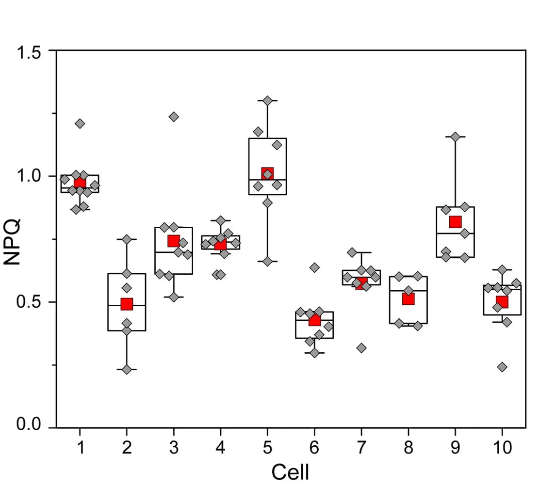 Open access visualization of Box Plot, Scatter Plot, NPQ, P. patens Cells, Plastids