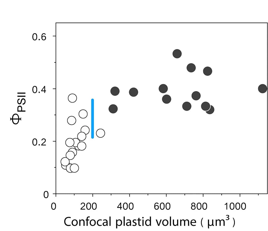 Open access visualization of Scatter Plot, Single-Cell Analysis, Symbiont Populations, Photoprotective Responses, Photosynthesis