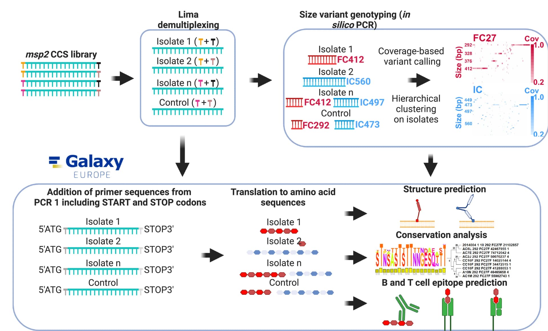 Open access visualization of Workflow, Scatter Plot, Clustered, Circular consensus sequences, Demultiplexing
