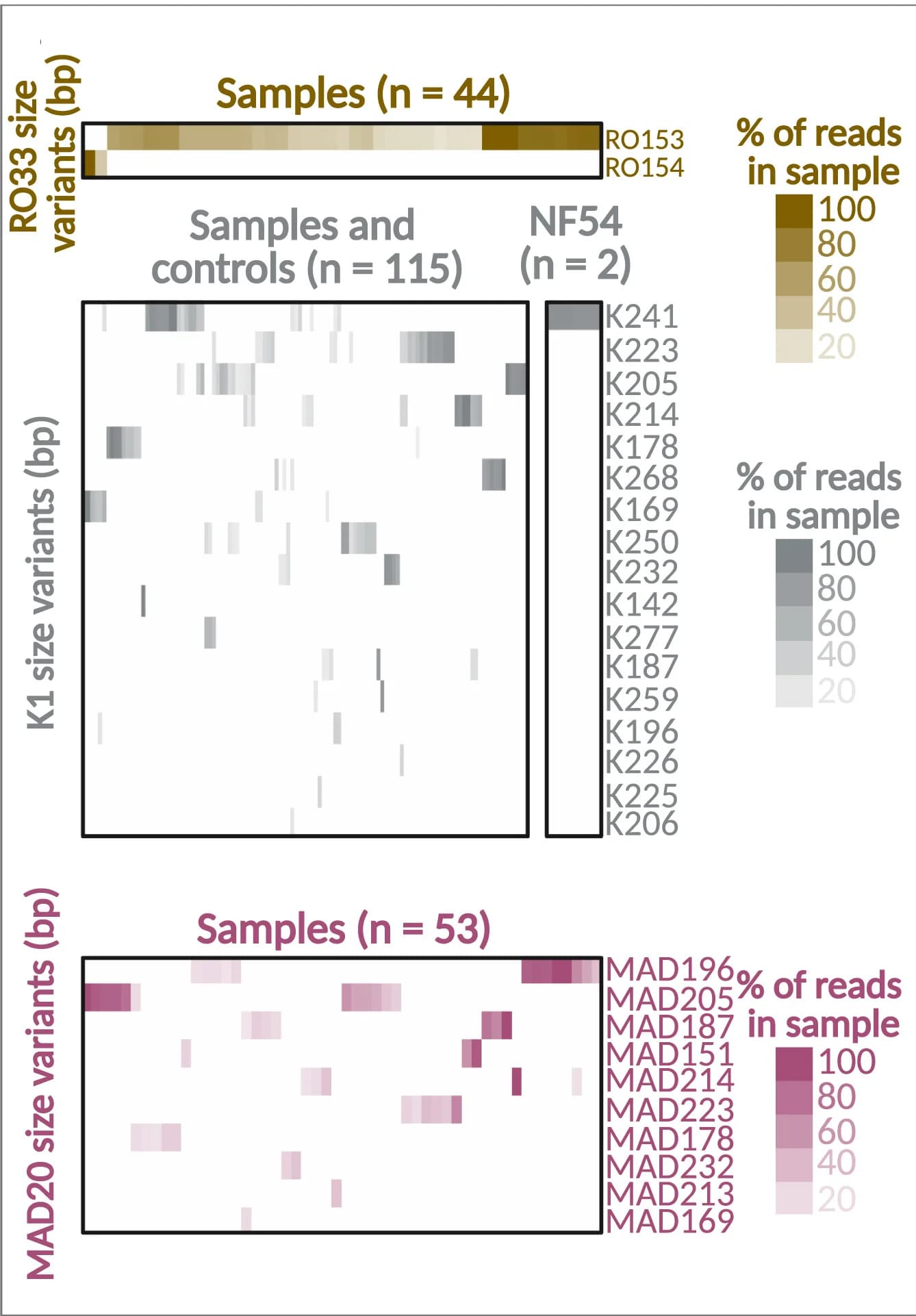 Open access visualization of Heatmap, Size Variant Genotyping, Clinical Samples, Heatmaps, Reference Strain